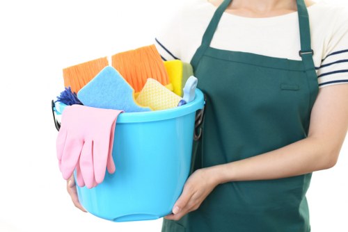 Stain removal tools for everyday cleaning tasks