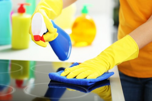 Baking soda used during mattress deodorizing