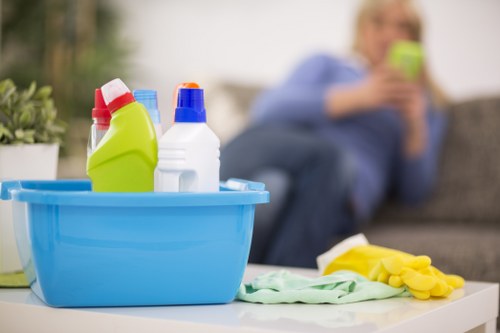 Dulwich carpet cleaner treating a household stain